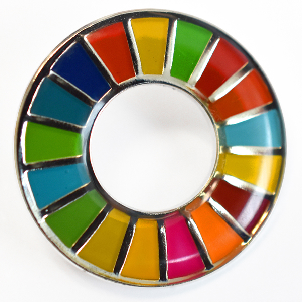 Sustainable Development Goals pin